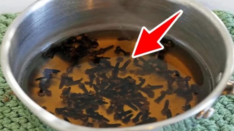 Diese einfache Idee mit Nelkenwasser könnte dein Wohlbefinden drastisch verändern…