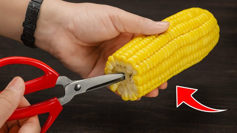 34 geniale Home-Hacks, die dein Leben verändern werden! entdecke sie jetzt!