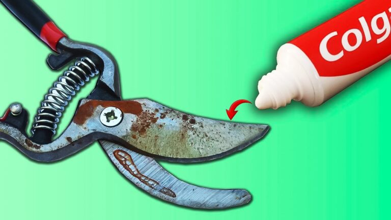 Schneidige Geheimnisse: 5 Tipps, um Scheren wie Rasiermesser zu schärfen!