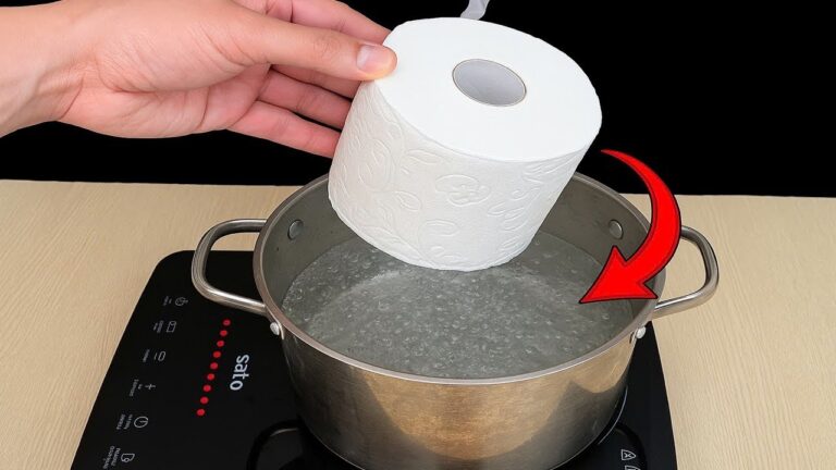 Verdiene 100 Euro mit diesem Toilettenpapier-Trick, den fast niemand kennt!