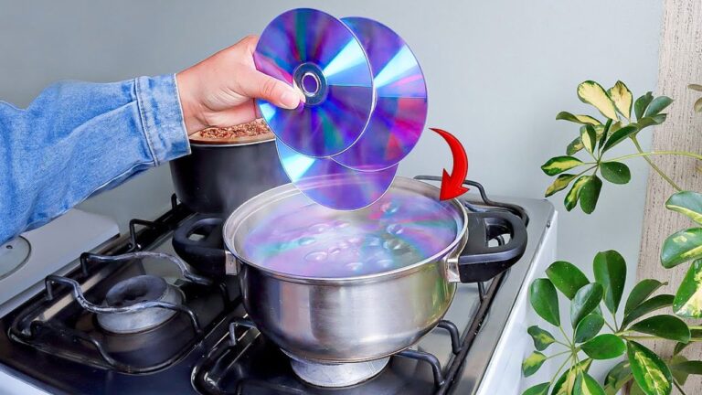 7 verblüffende Erfindungen von diesem genialen CD-Disc Erfinder entdecken!