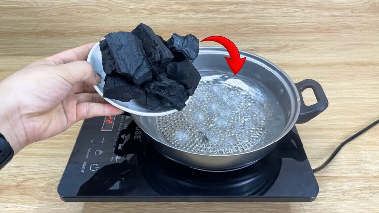 Entdecke 5 geniale Möglichkeiten, mit Holzkohle Geld zu verdienen!