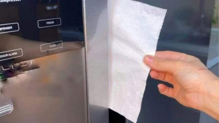 Papier im Kühlschrank legen – so sparen Sie Geld ohne es zu wissen