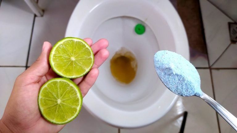 Mit wenigen Tropfen bleiben die Toiletten wochenlang sauber