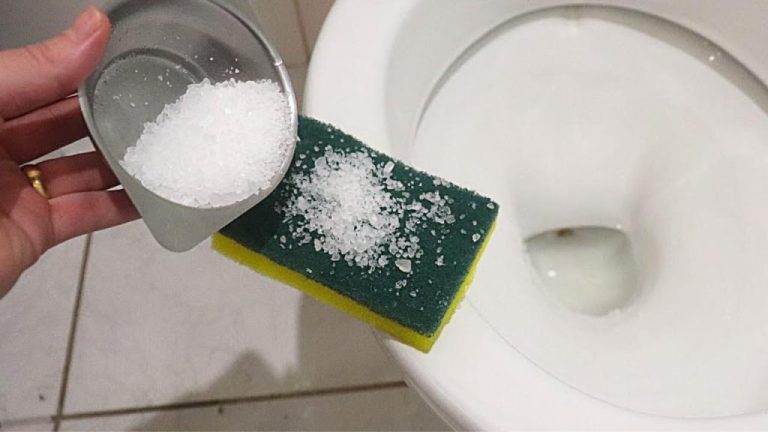 So bleibt dein Badezimmer mit dieser natürlichen Methode immer frisch