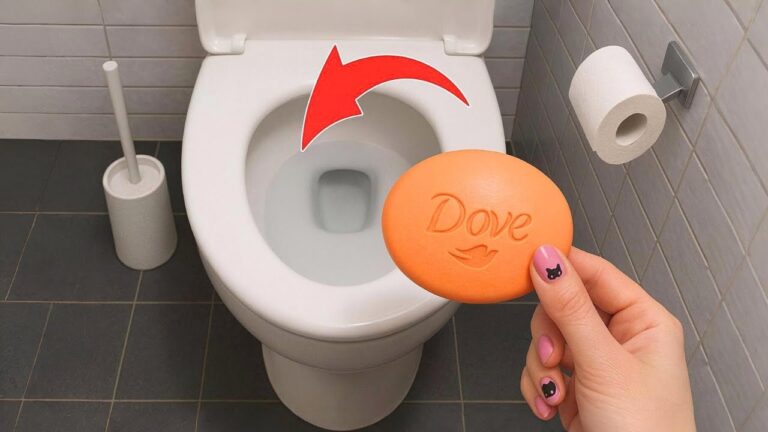 36 nützliche Home Hacks, die dein Leben verändern werden!