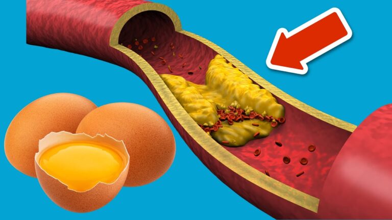 Eier und Cholesterin: 5 überraschende Erkenntnisse, die du kennen musst!