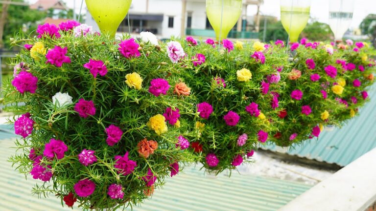 5 kreative Ideen für einen Balkon-Garten aus Plastikflaschen und hübschen Portulaken