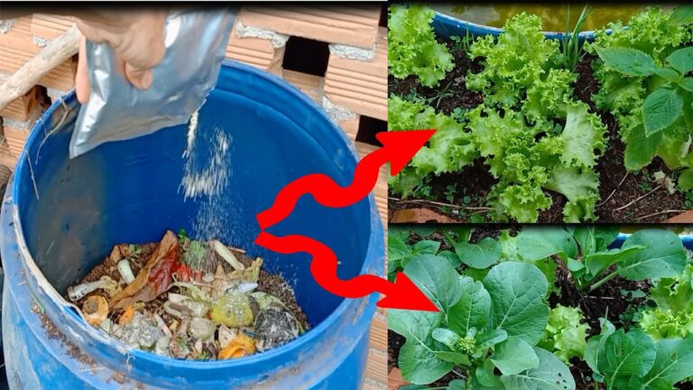 5 kreative Möglichkeiten, Küchenabfälle als natürlichen Dünger zu nutzen