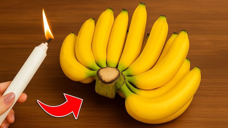 Frische Bananen einen Monat lang: 5 geniale Tipps vom alteingesessenen Bauern!