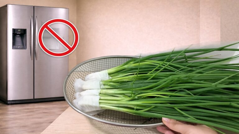 5 Tipps, wie du Frühlingszwiebeln 30 Tage frisch ohne Kühlschrank hältst