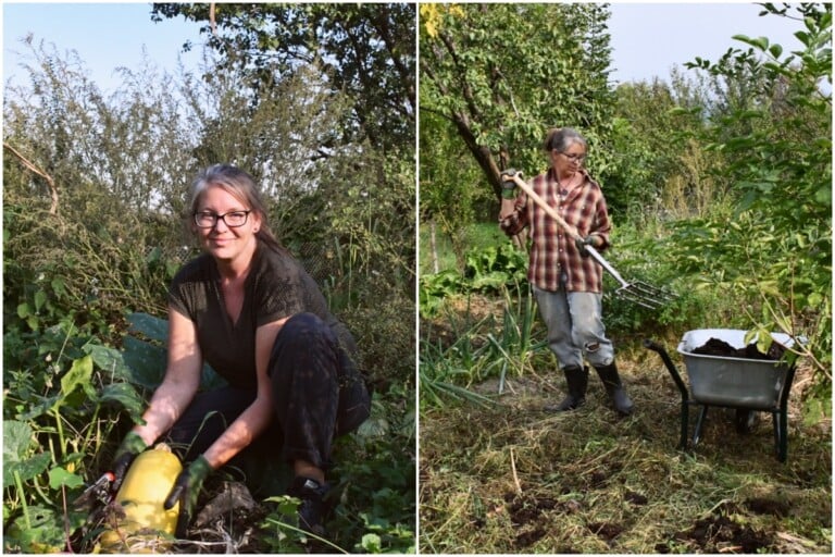 9 Herbstarbeiten im mühelosen Garten – Pflanzen, Ernten, Mulchen und mehr