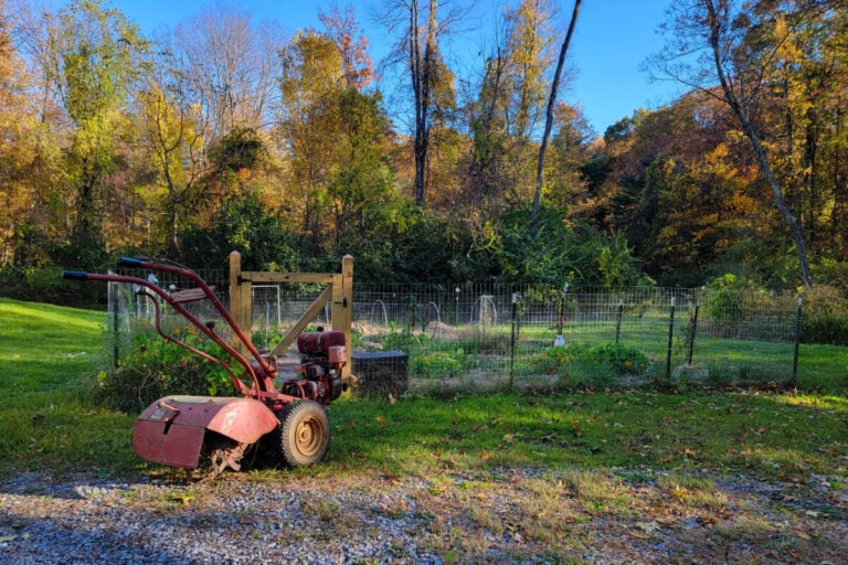 So legen wir unseren No-Dig-Garten diesen Herbst an