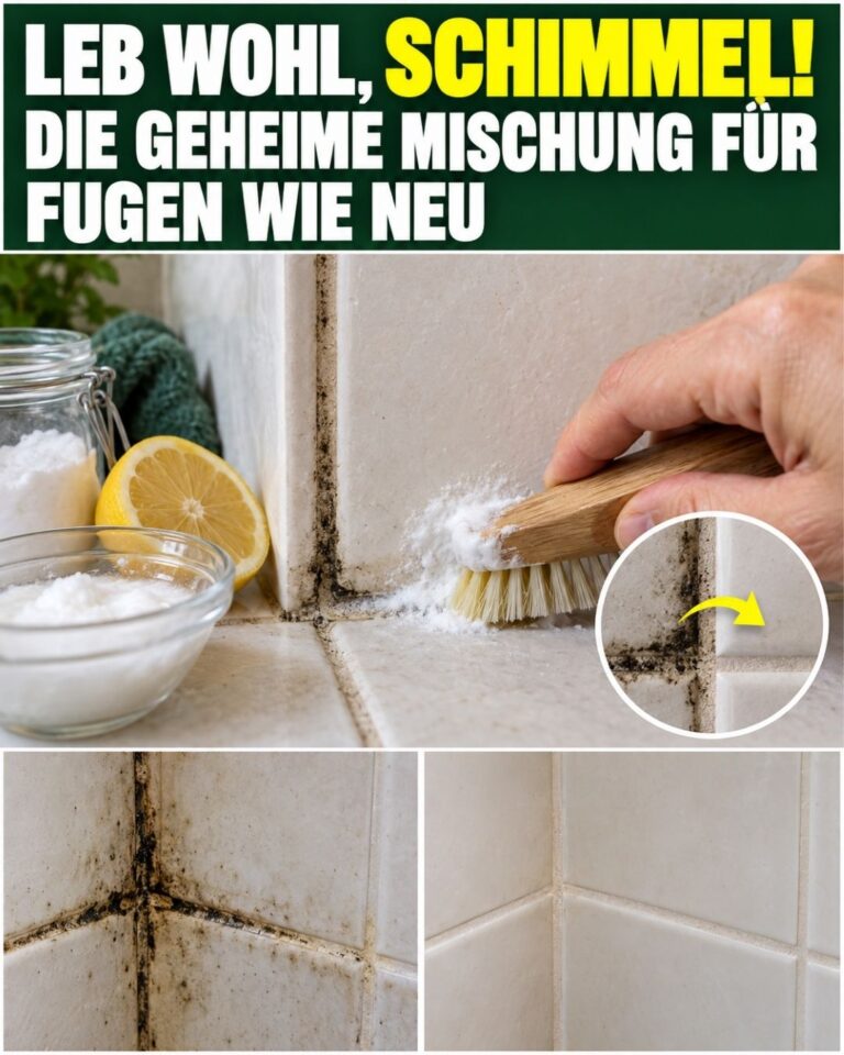 Leb wohl, Schimmel! Die geheime Mischung für Fugen wie neu