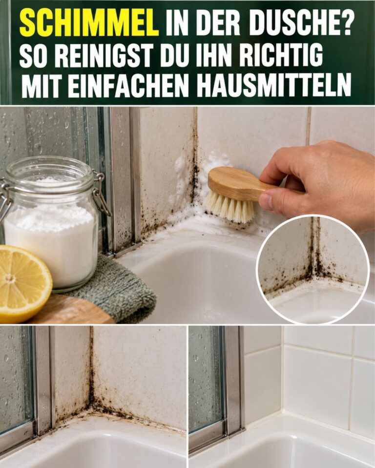 Schimmel in der Dusche? So reinigst du ihn richtig mit einfachen Hausmitteln