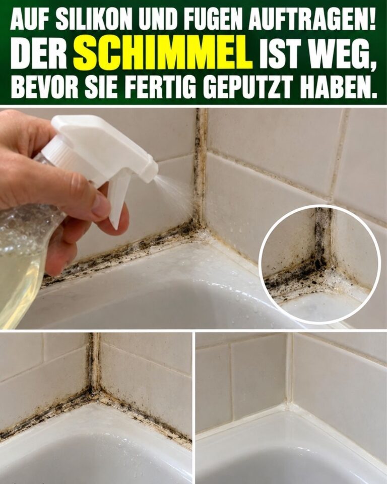 Auf Silikon und Fugen auftragen! Der SCHIMMEL ist weg, bevor Sie fertig geputzt haben.