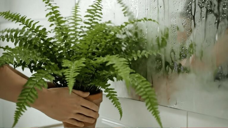 Stell diese Pflanzen ins Badezimmer — sie können bei Feuchtigkeit und Raumklima helfen