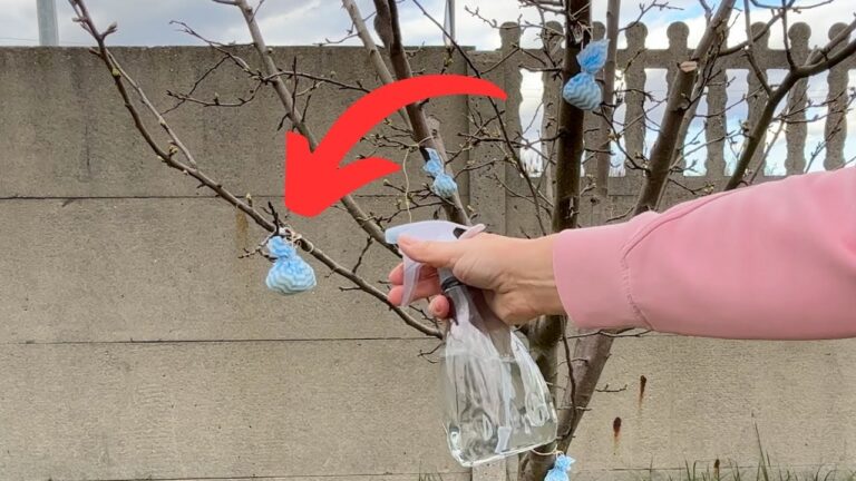Häng es im Garten auf und sprüh es. Blattläuse und Spinnmilben kommen nicht näher