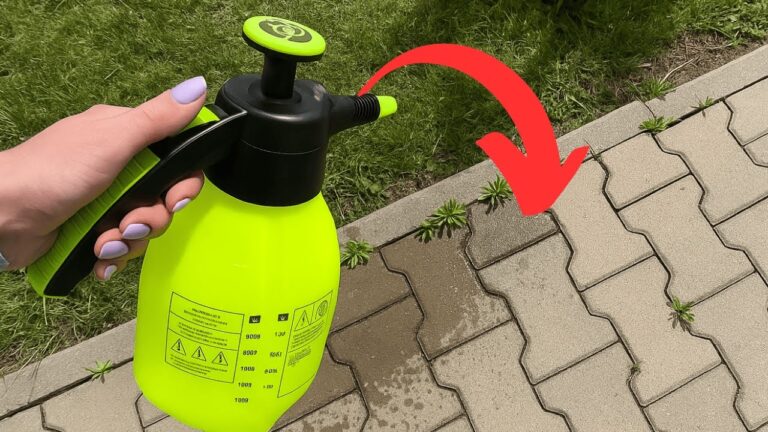 Gieß in den Sprühkopf. Unkraut auf dem Pflasterstein verschwindet für immer