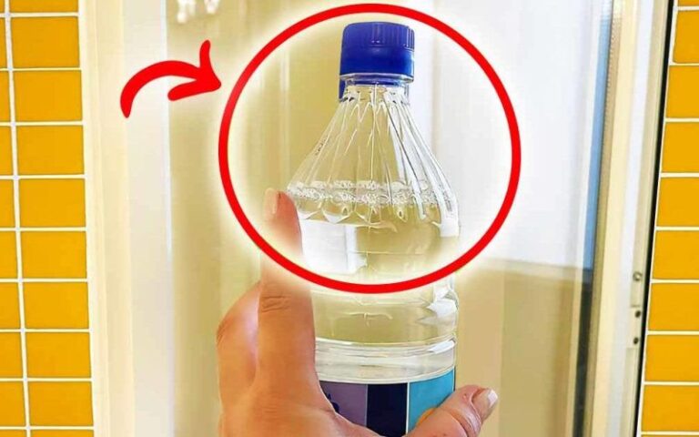 Eine Flasche weißer Essig löst 4 typische Haushaltsprobleme!